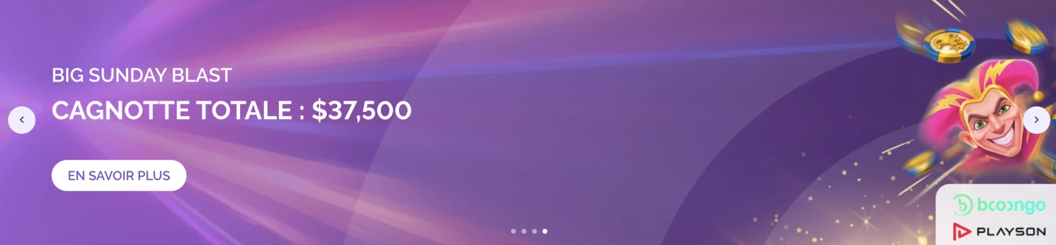 Promotional Banner